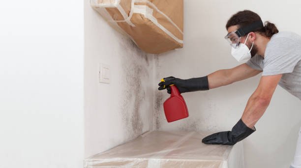 Professional Mold Removal technician working in Manhasset, NY